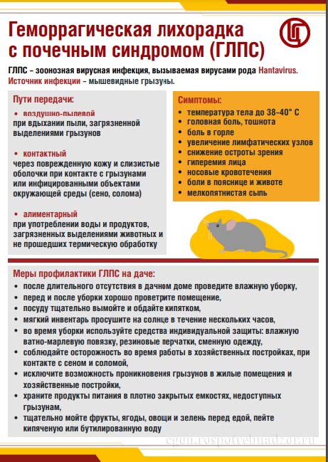 Облкомобразования о профилактике геморрагической лихорадки 1